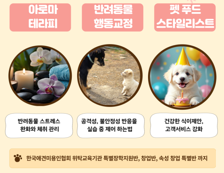  대구애견미용학원으로 시작하는 반려동물 미용 전문가 양성 가이드