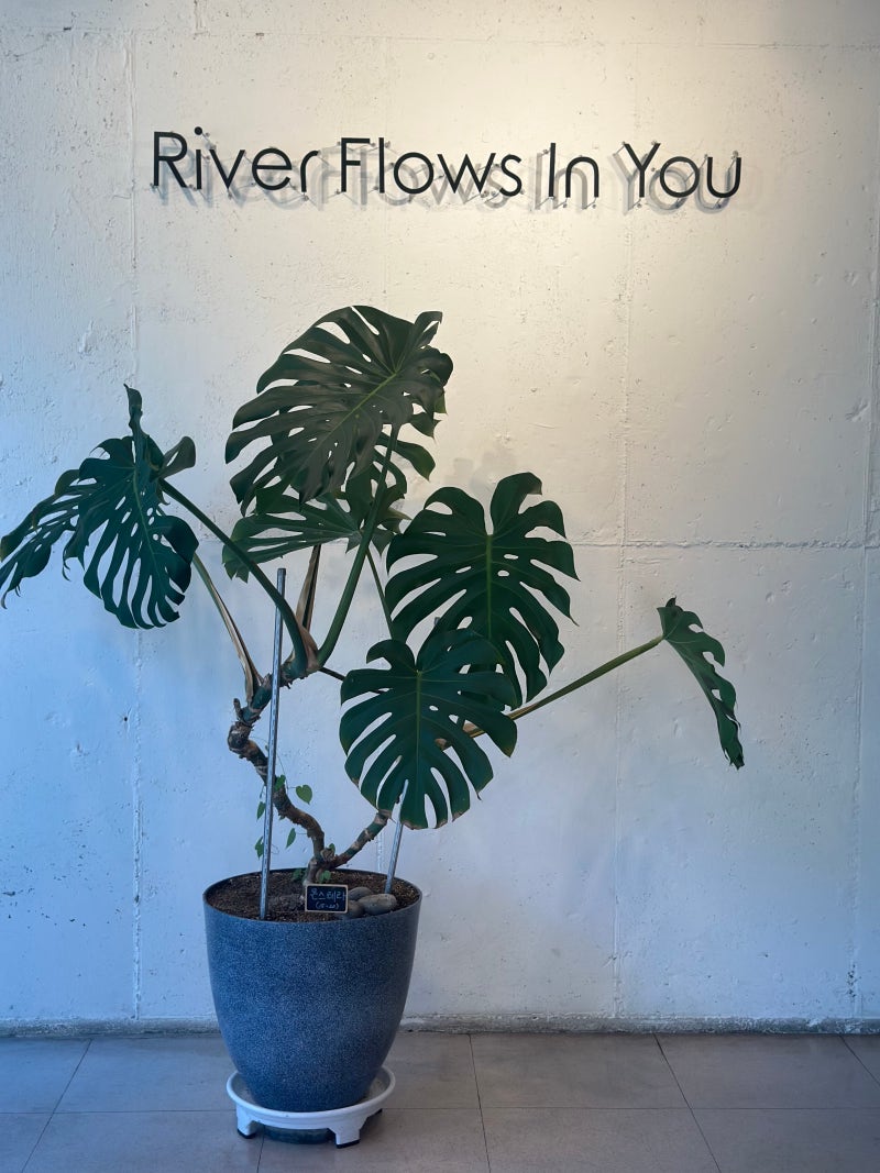 밀양 단장천 분위기 좋은 카페 리플유 : 네이버 블로그