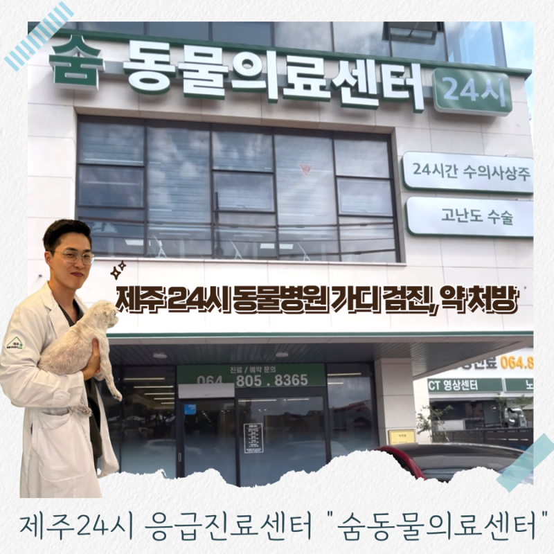 제주 24시 동물병원 가디심장검진 체계적인 의료센터(윤병국 원장님 상담)