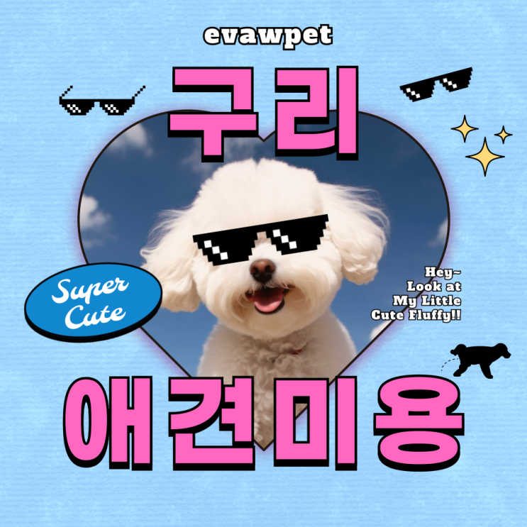  구리애견미용학원 고르는 팁, 실습부터 취업까지 완벽 지원!