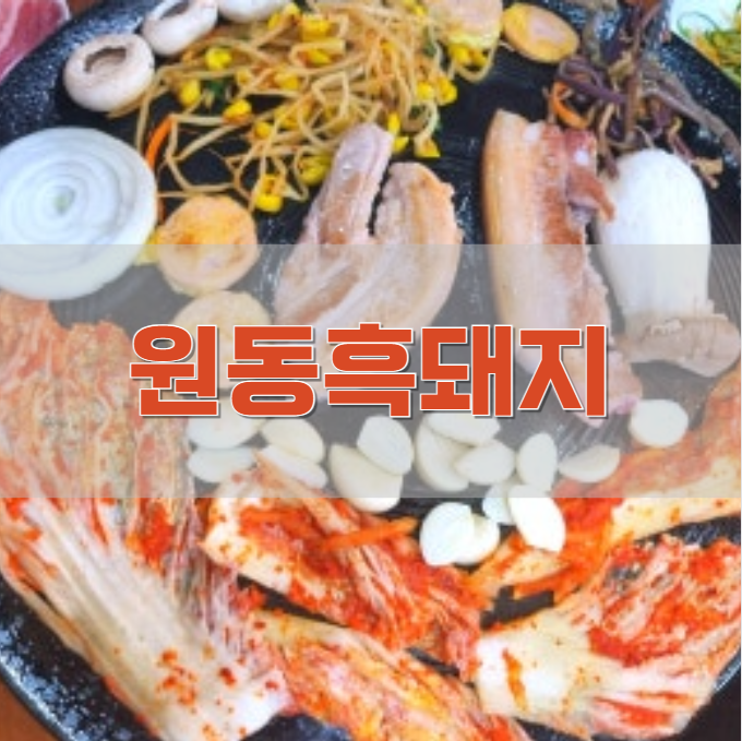 원동별미흑돼지 논산점 사진 1