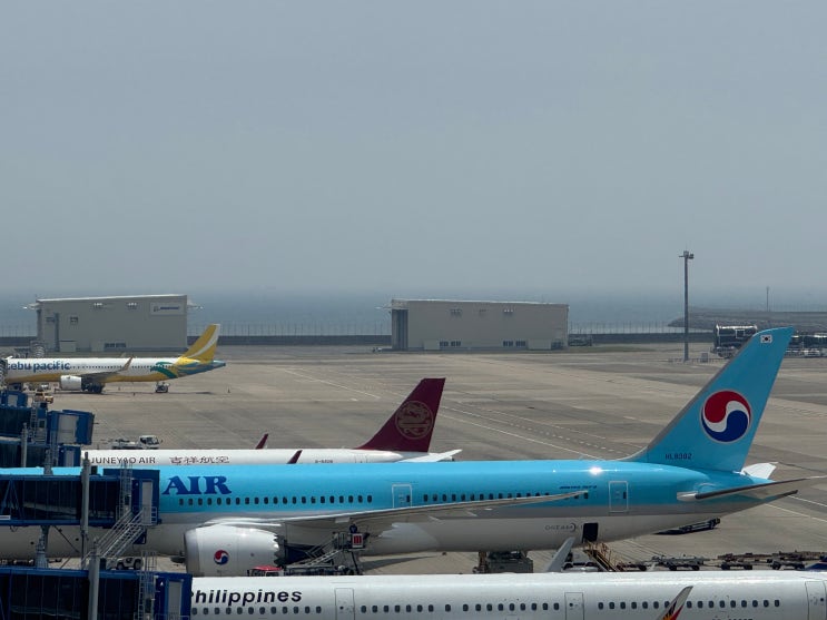  [20250613] 대한항공 KE742 나고야 주부 → 서울 인천 이코노미 탑승 후기 (NGO→ICN)