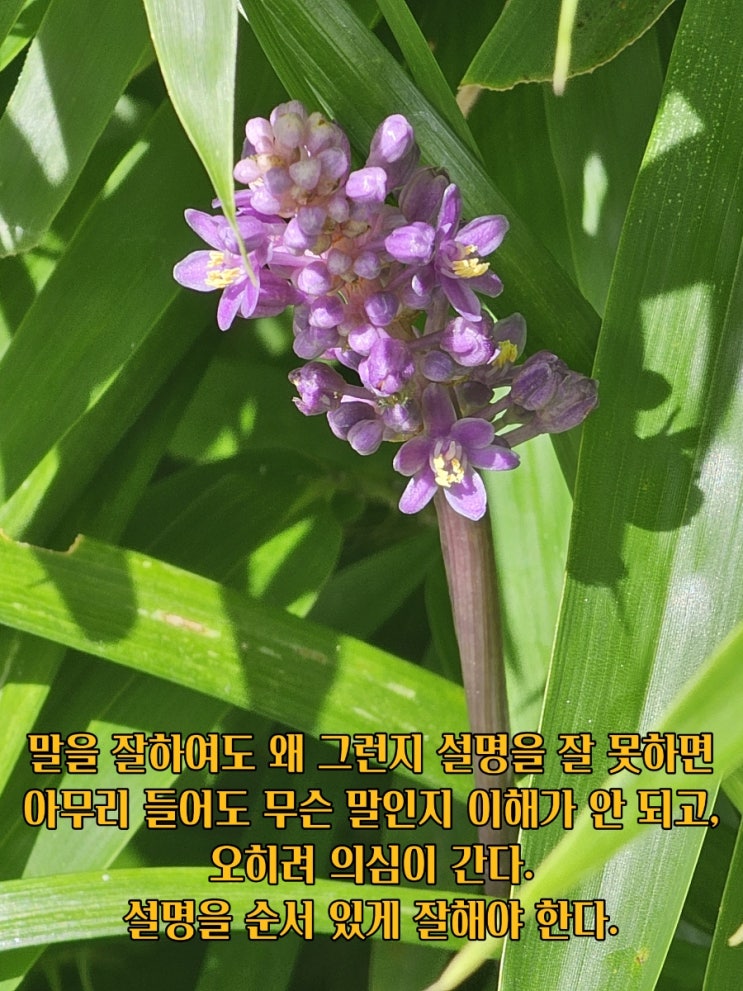  jms 정명석목사 잠언 ㅡ 말을 잘하여도