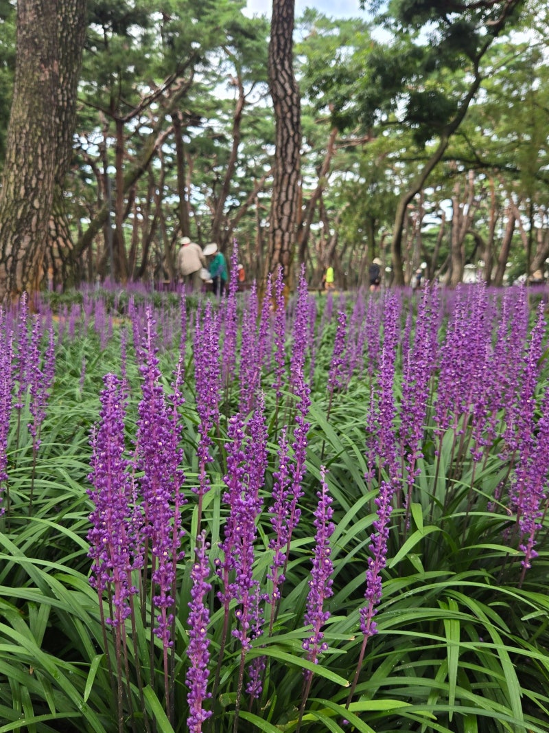 사진 5