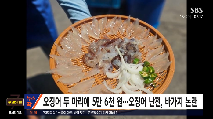  속초 오징어 두 마리 5만6천 원?! 여행객 발칵 뒤집힌 이유
