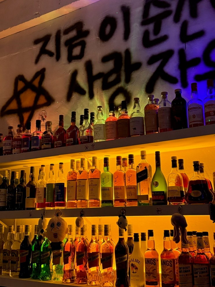  부산 광안리 혼술바 자유의지3 | 혼자여도 둘이어도 재밌는 곳