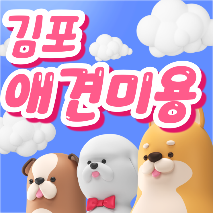  김포애견미용학원 성공적인 반려동물 미용 전문가 되기!
