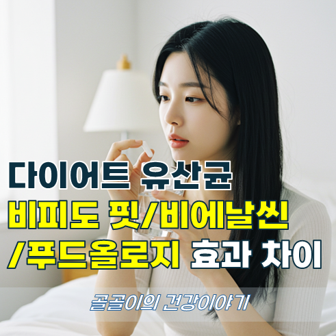 다이어트 유산균주, 비피도 핏 vs 비에날씬 vs 푸드올로지 효과 차이는?