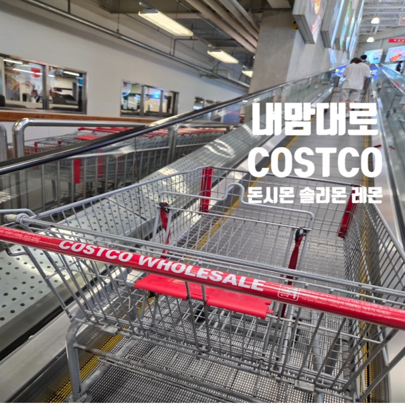 코스트코 돈시몬 솔리몬 레몬 즙 주스 비교 효능