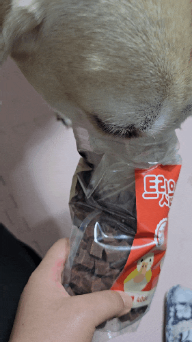 강아지훈련간식 이거다펫 큐브간식 오리맛 소고기맛 강아지대용량간식 추천