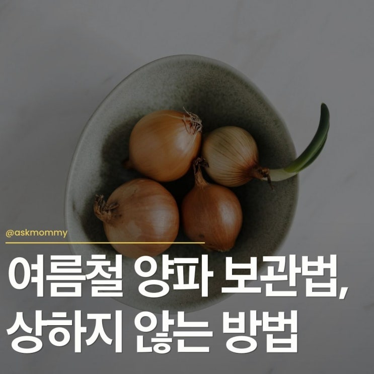  여름철 양파 보관법, 해보니 이 방법이 제일 오래 가요