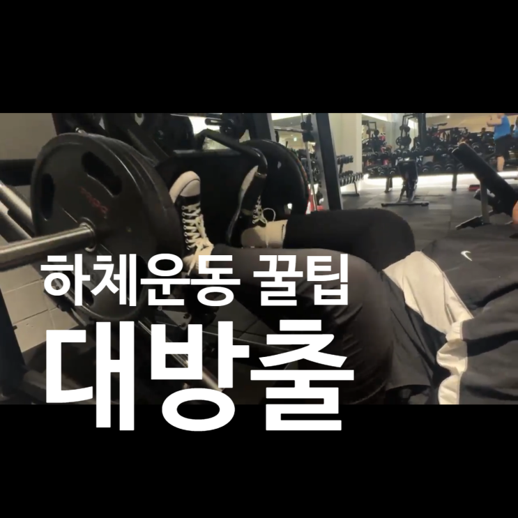  탄현 헬스장 pt후기 - 하체운동 이렇게 해야 진짜다!