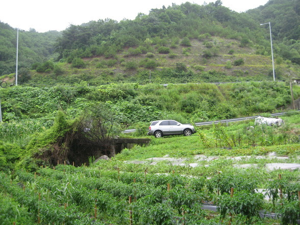 천삼산 사진 3