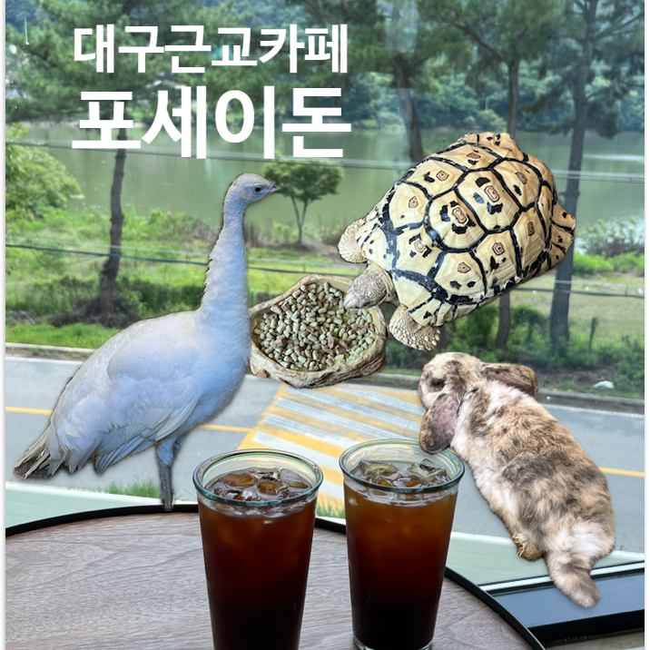  대구 근교 카페 포세이돈 친칠라와 거북이가 있는 미니 동물원