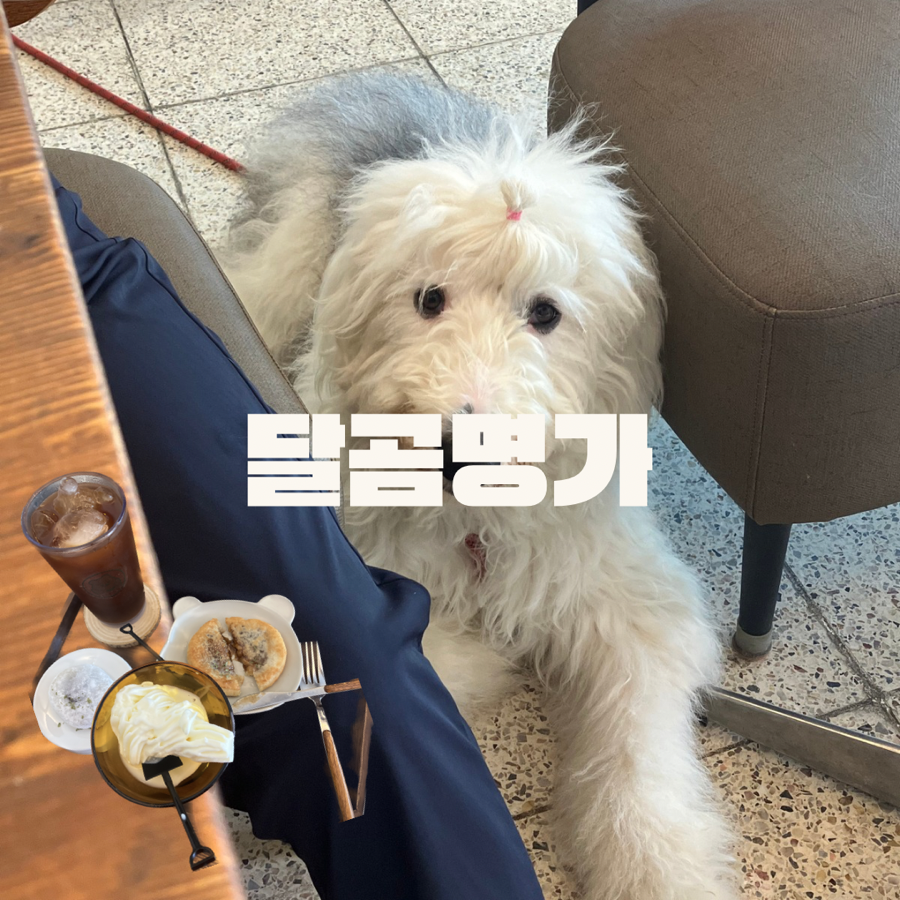 달곰명가 사진 2