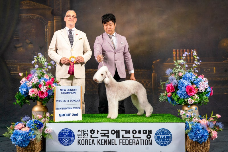 사진 4