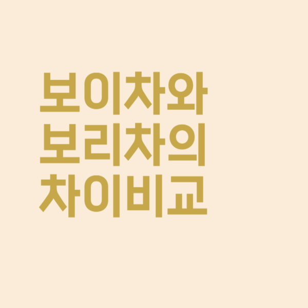  보이차와 보리차 차이점에 대해 정확히 알고 계시나요