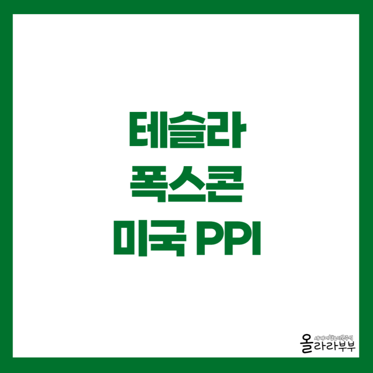  테슬라 노르웨이 판매량, 로보택시 확대