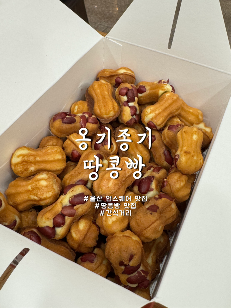  울산 업스퀘어 5층 간식거리 맛집 옹기종기 땅콩빵