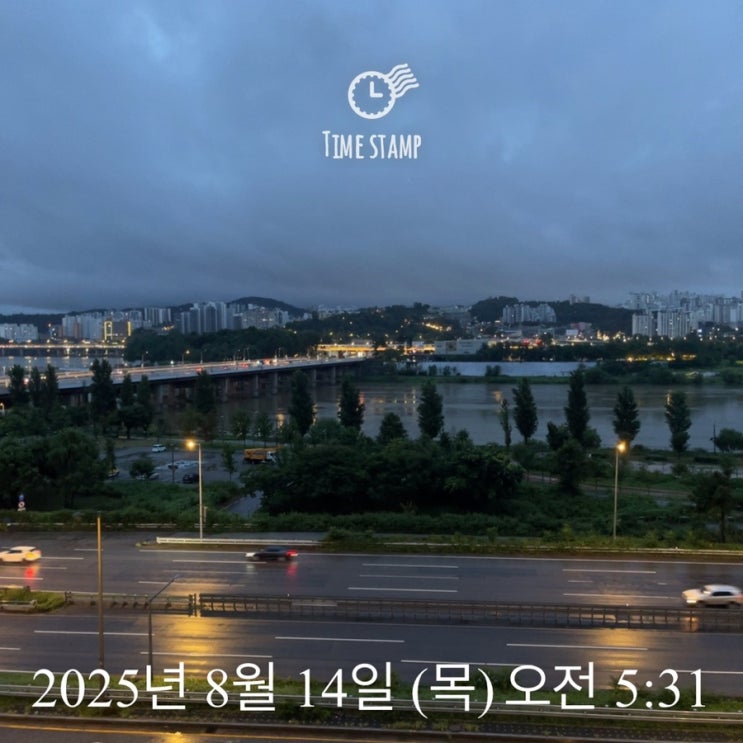  새벽단 8월 14일 오늘은 노들섬을 뛴다