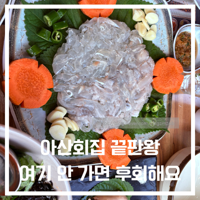  아산회집 찾는다면 금회세꼬시배방점, 만족스러운 방문 후기