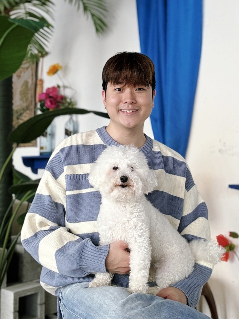 하얀 강아지 안는꿈 해몽, 흰색 개꿈 뜻