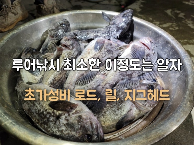  루어낚시 초보 필독 이것도 모르면 낚시못함 최소 이정도는 알자