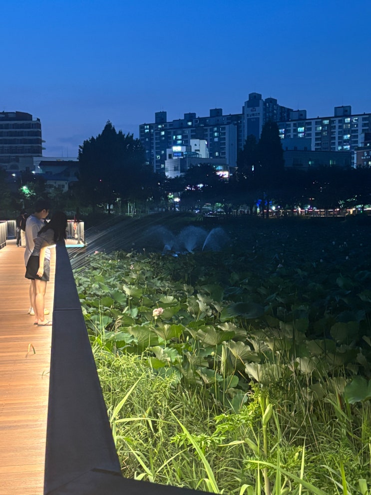  봉담 산책하기 좋은 날 분위기 좋은 산책공간 물놀이장이 있는 동화 저수지