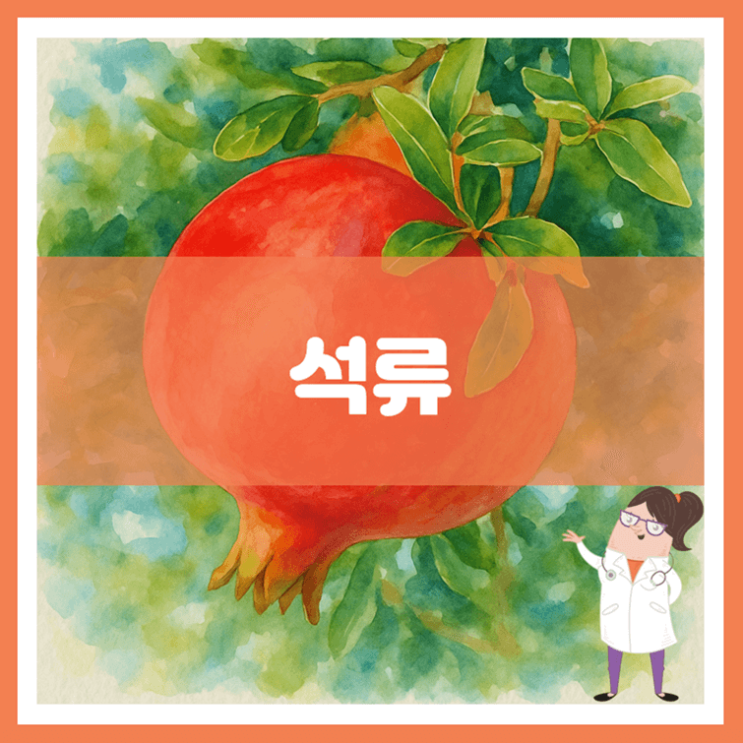  석류 효능 부작용 고르는 방법