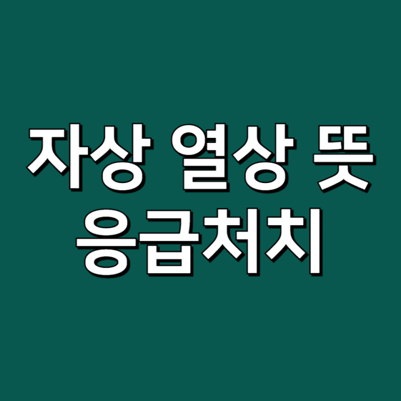 열상 자상 창상 뜻 구체적 의미와 상태에 따른 응급처치법