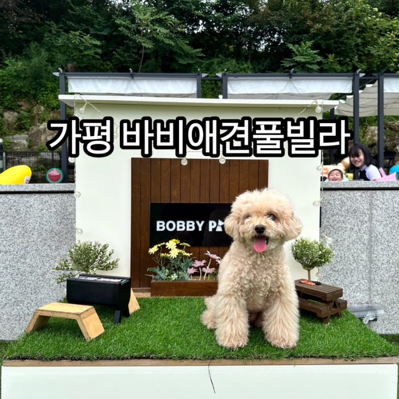 사진 6