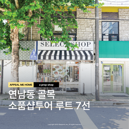  연남동 소품샵투어 아기자기한 곳 무유무유 스테인20 아티웨이브 오월상점 봄을상자 러뷰띵 키노코잡화점 돌체까사