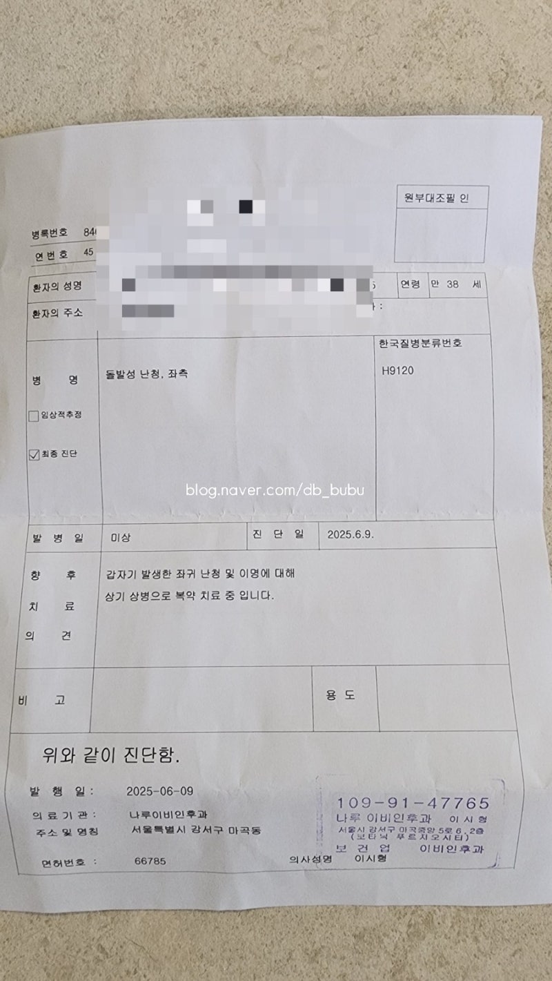 돌발성 난청 진단 & 치료 , 그리고 나의 회복기, 고압산소치료, 의료보험 조건, 실비보험 청구