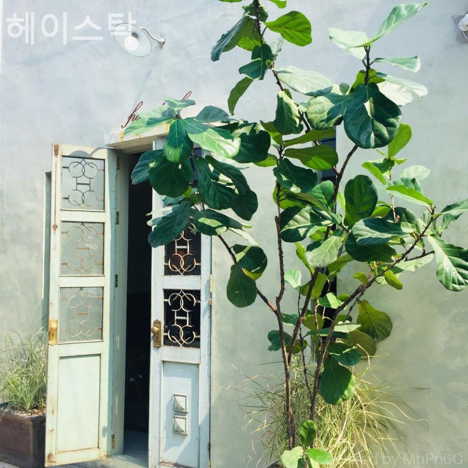 헤이스탁 사진 1