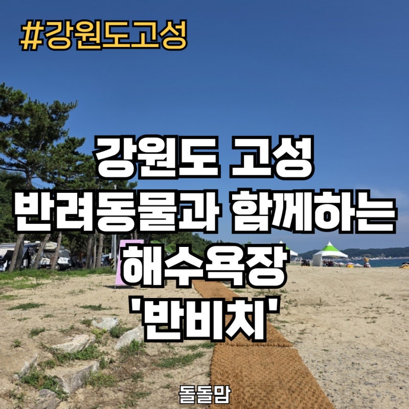사진 5