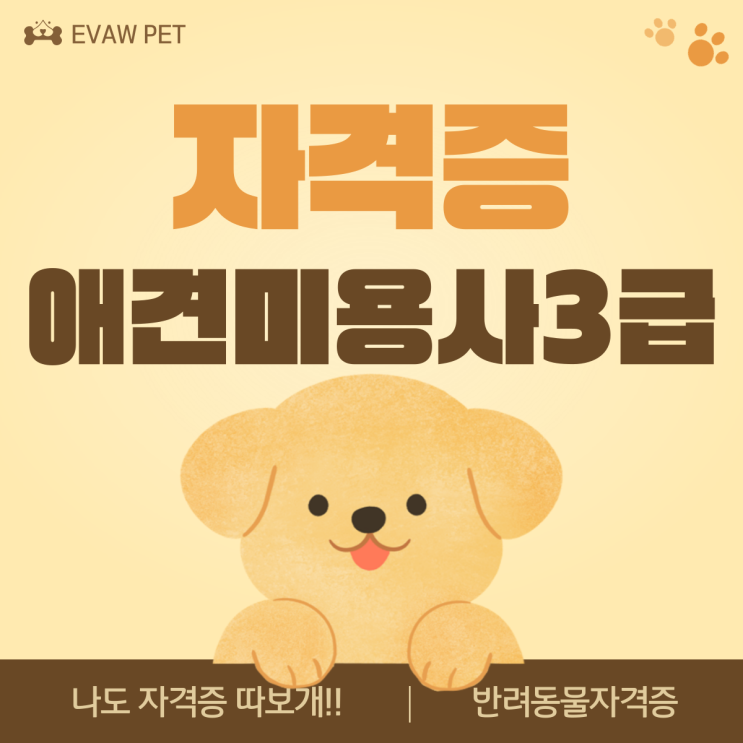  애견미용사3급 반려동물 전문가로 나아가기 위한 첫걸음