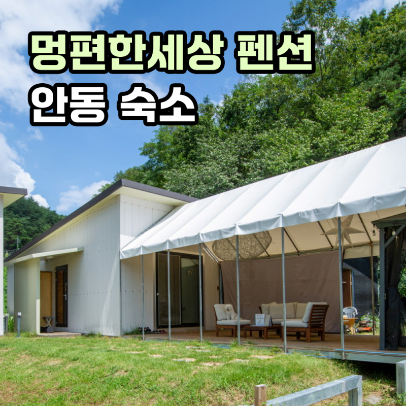 사진 6