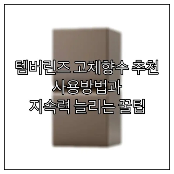  템버린즈 고체향수 추천 사용방법과 지속력 늘리는 꿀팁