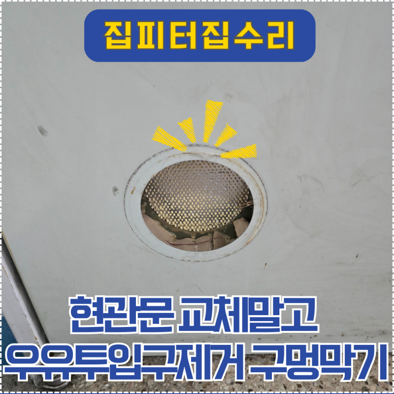 아파트 현관문 교체말고 우유투입구제거 구멍막기후 페인트 칠하기