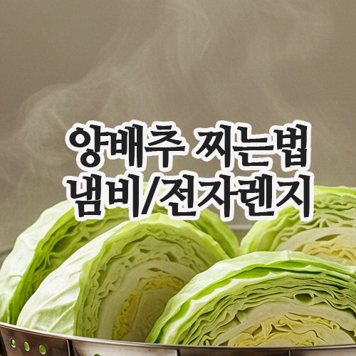  양배추 찌는법 초보도 OK! 전자레인지 쉽게 찌는법