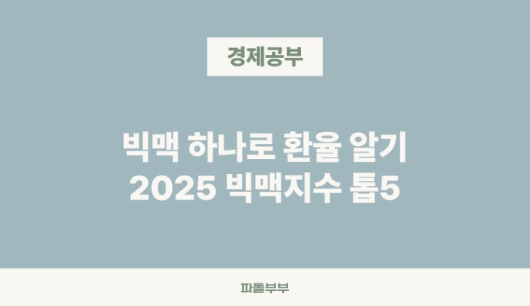  빅맥지수란 뜻 2025 한국 세계 순위 활용 계산방법 의미 해석 한계 장단점