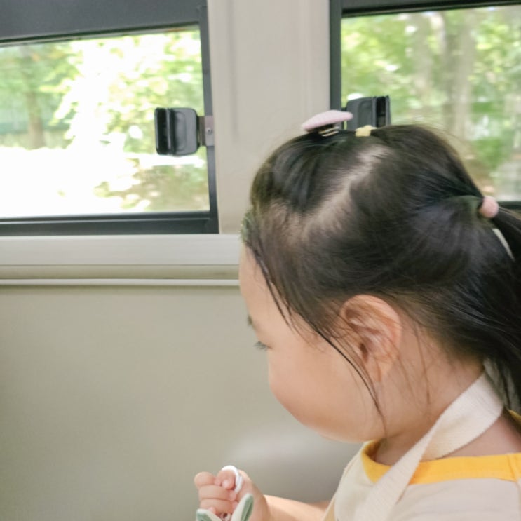  유아 아기 버스 요금 언제부터 주요 시도별 정리