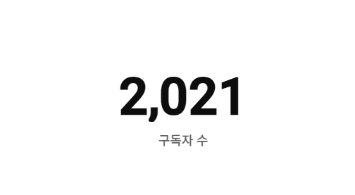  구독자 2000명 달성 후기 기간 앞으로의 계획