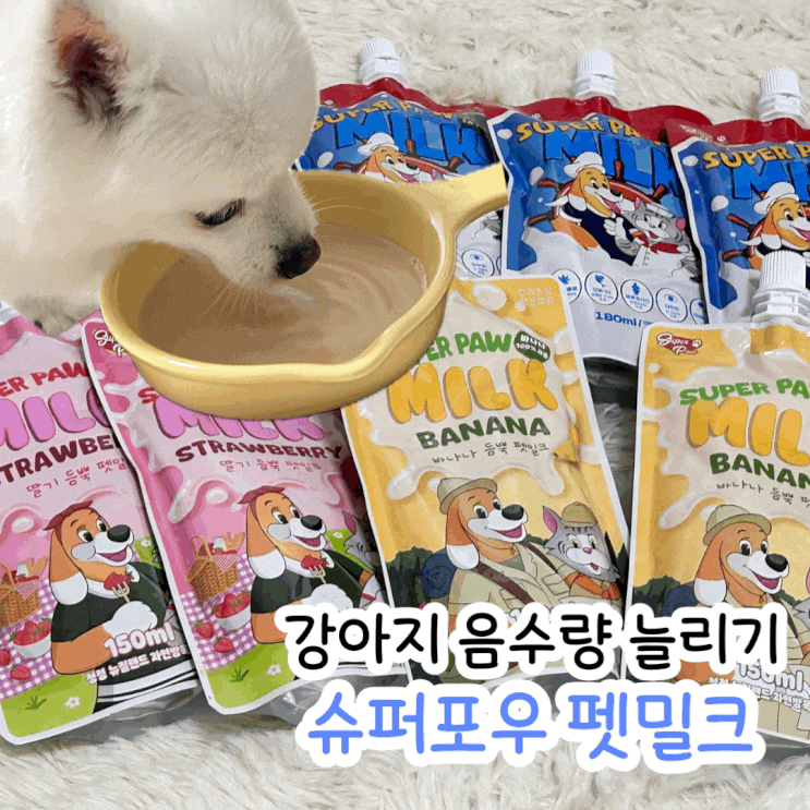  강아지 음수량 늘리고 아이스크림도 만들고 펫밀크 내돈내산