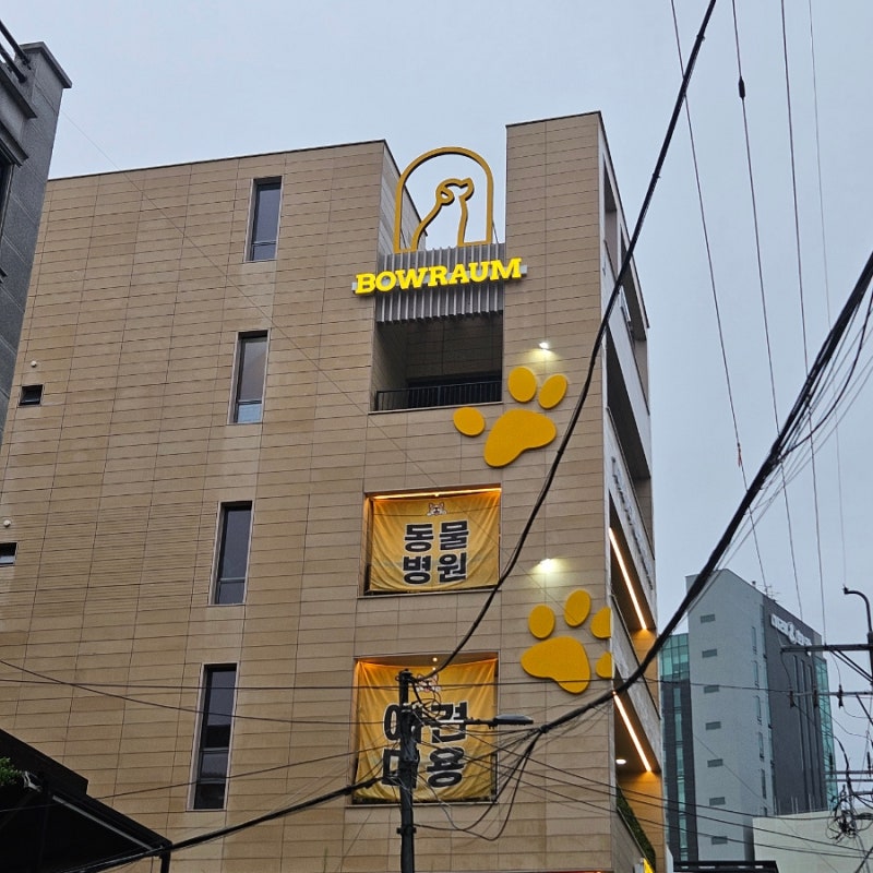 사진 7