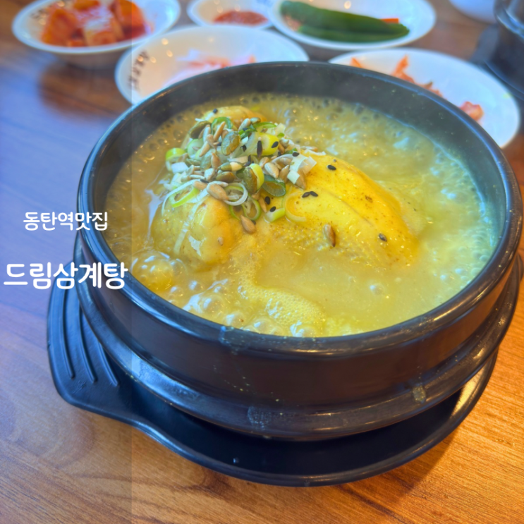  동탄 삼계탕 맛집 동탄역 드림삼계탕 여름 보양식