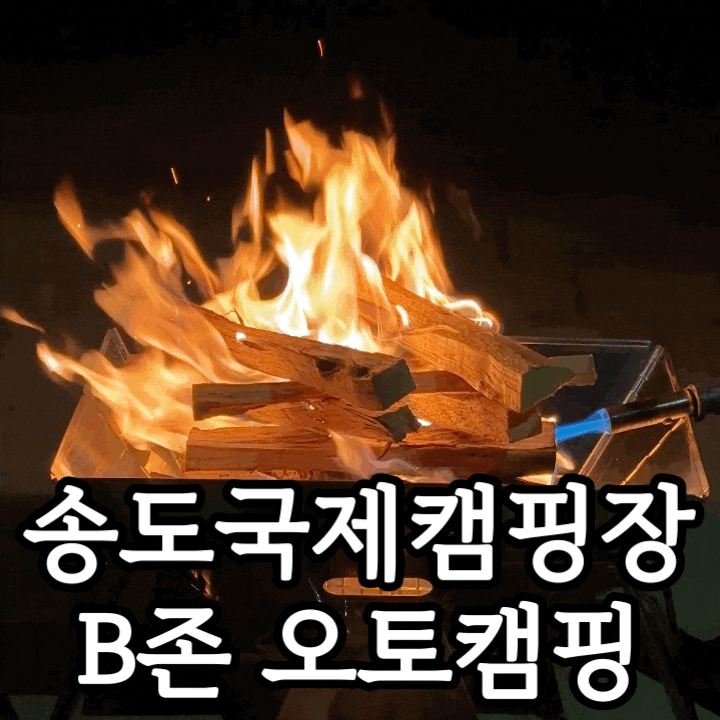  송도국제캠핑장 B존 오토캠핑 솔직 후기｜예약·물놀이터·수영장 총정리