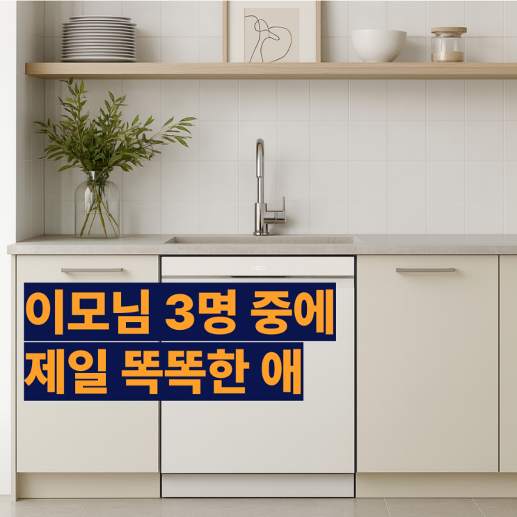  DUE6BGL1E 엘지 식기세척기 14인용 후기 열풍건조로 완벽해