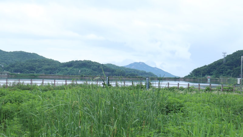 사진 10