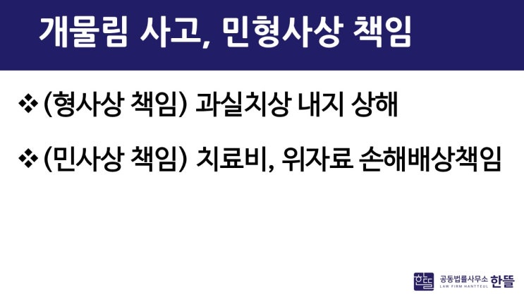  [세종개물림사고] 견주가 책임을 다툰다면